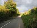 Looking east on Approach Road.
Bank of trees on the left.
Railway embankment on the right.