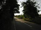 Looking east on Approach Road.
Dark trees on both sides.