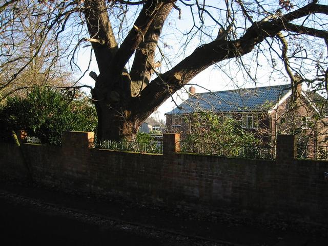 Photograph img_0283.jpg