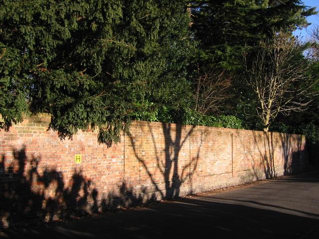 Photograph img_0290.jpg
