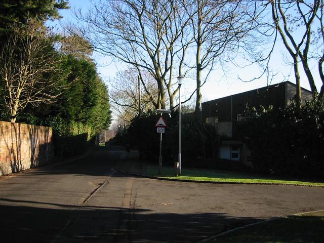 Photograph img_0291.jpg