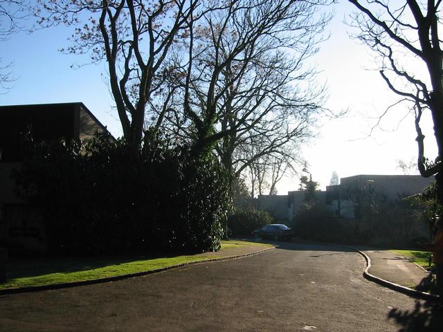 Photograph img_0292.jpg