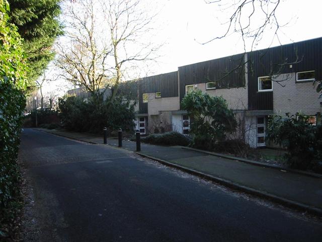Photograph img_0295.jpg