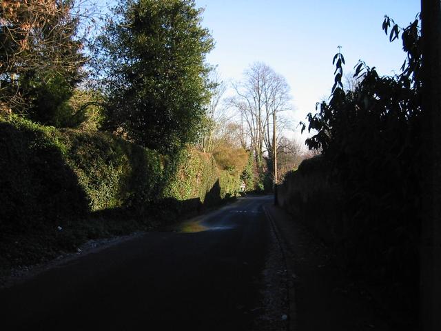 Photograph img_0298.jpg