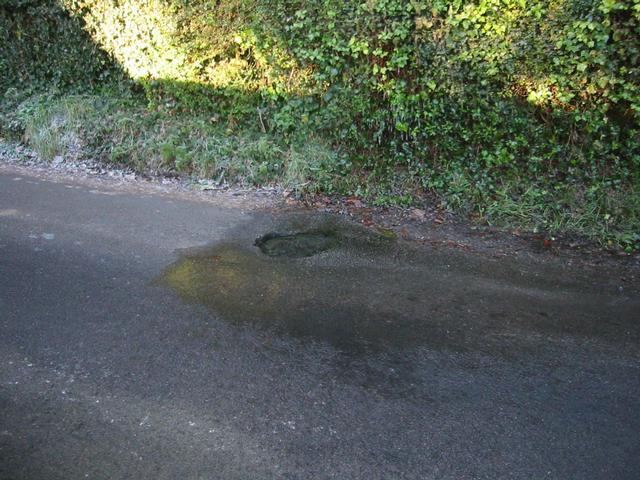 Photograph img_0300.jpg