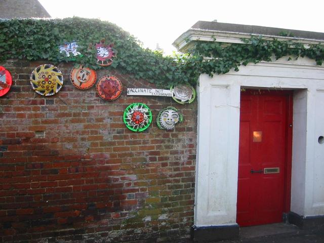 Photograph img_0309.jpg