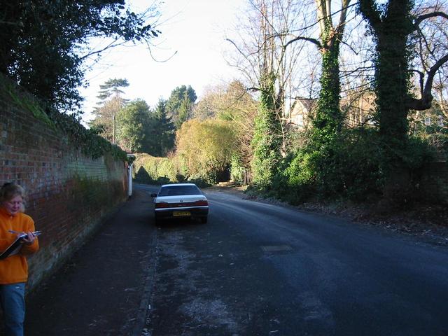 Photograph img_0310.jpg