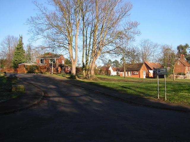 Photograph img_0313.jpg