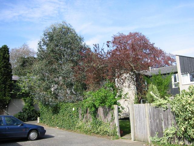 Photograph img_0894.jpg