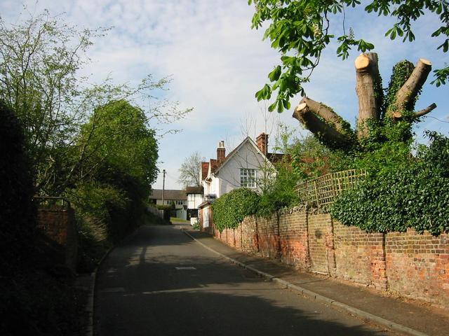 Photograph img_0919.jpg