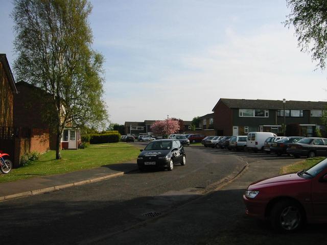 Photograph img_0978.jpg