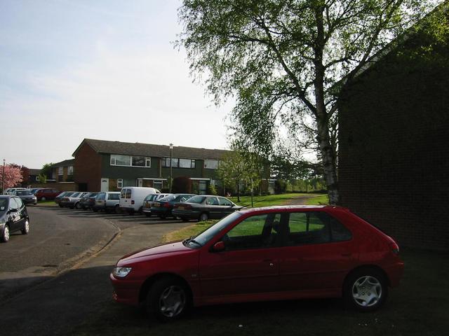 Photograph img_0979.jpg