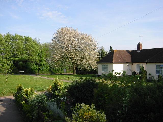 Photograph img_0994.jpg