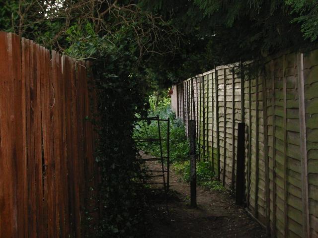 Photograph img_1016.jpg