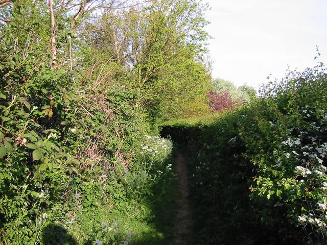 Photograph img_1021.jpg