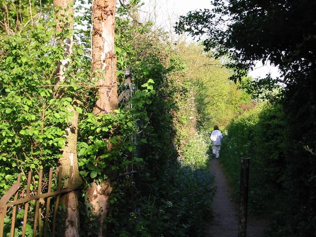Photograph img_1025.jpg