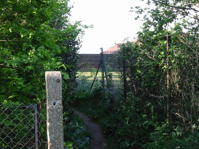 Photograph img_1027.jpg
