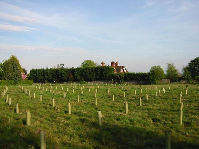 Photograph img_1037.jpg