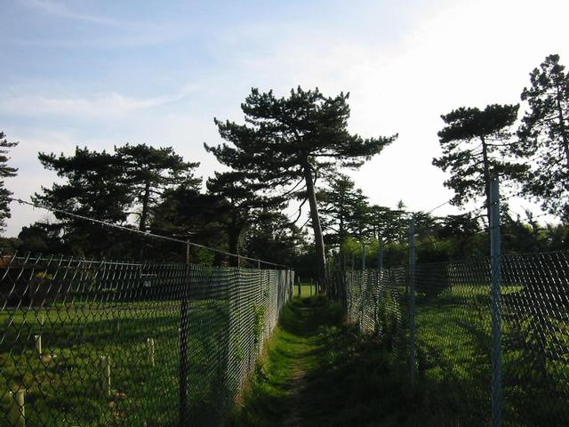 Photograph img_1039.jpg