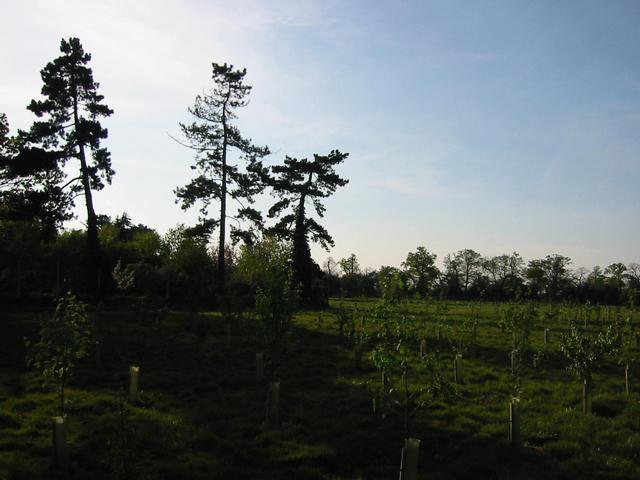 Photograph img_1040.jpg