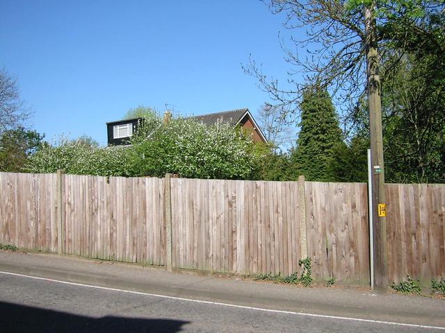 Photograph img_1122.jpg