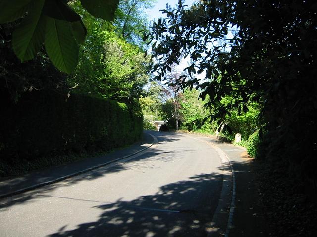 Photograph img_1134.jpg