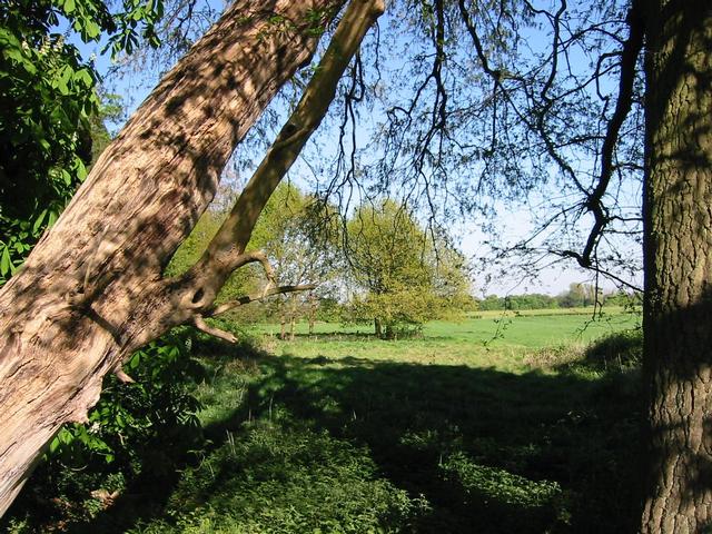 Photograph img_1171.jpg