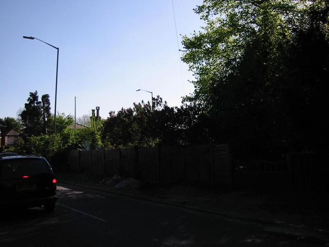 Photograph img_1204.jpg