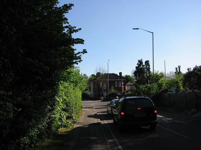 Photograph img_1205.jpg