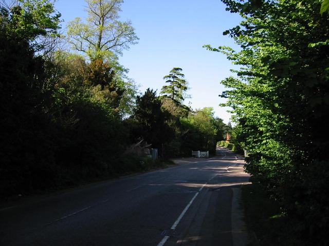 Photograph img_1206.jpg