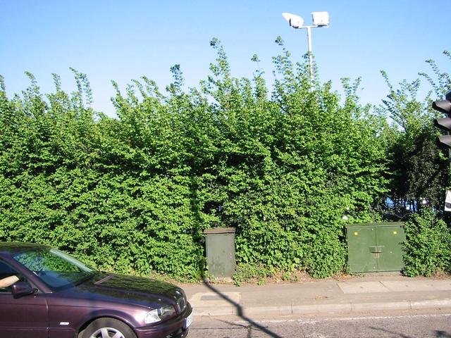 Photograph img_1217.jpg