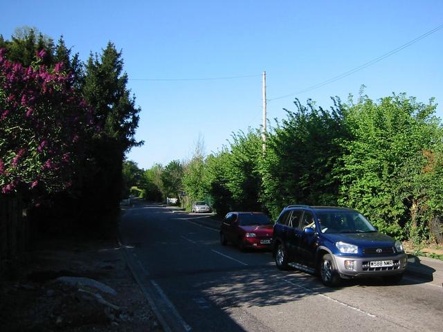 Photograph img_1218.jpg