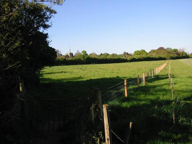 Photograph img_1246.jpg