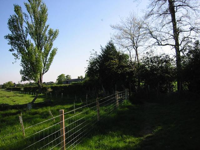 Photograph img_1247.jpg
