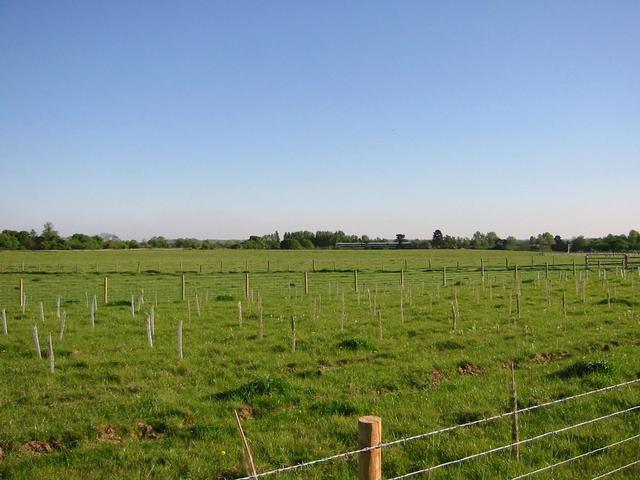 Photograph img_1252.jpg