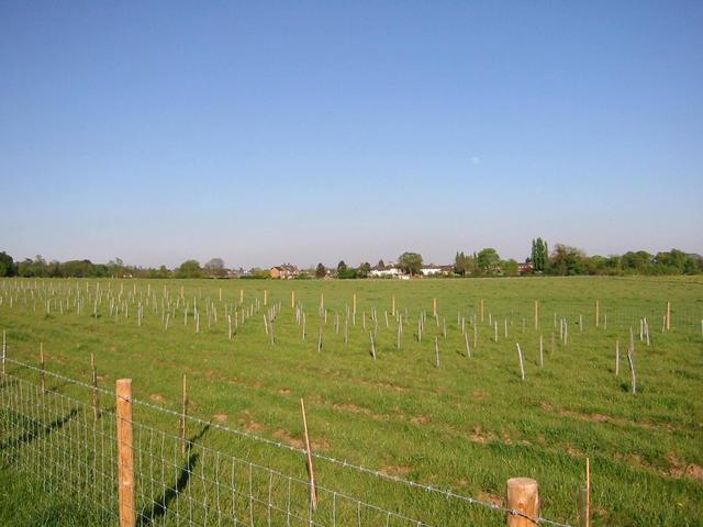 Photograph img_1253.jpg