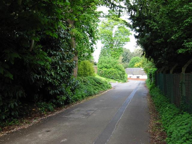Photograph img_1300.jpg