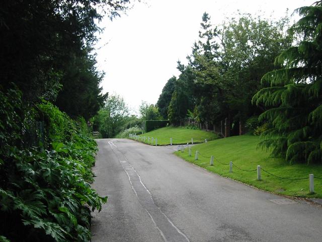 Photograph img_1301.jpg
