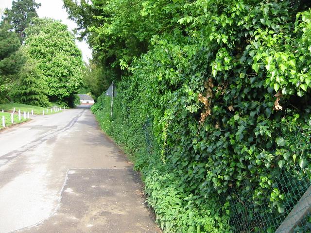 Photograph img_1307.jpg