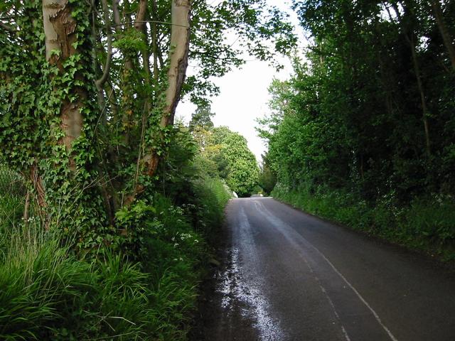 Photograph img_1311.jpg