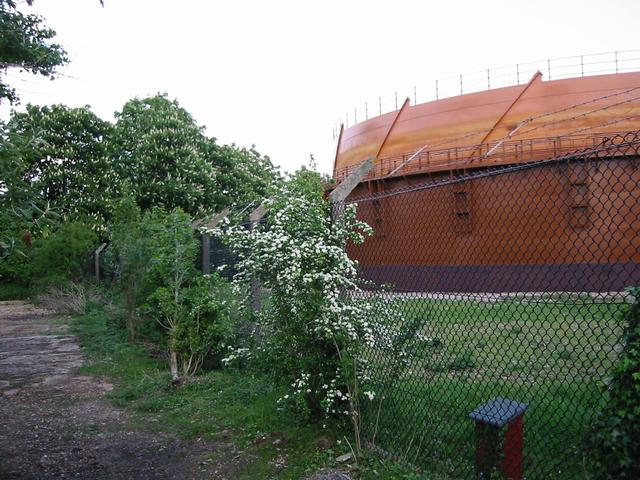 Photograph img_1346.jpg
