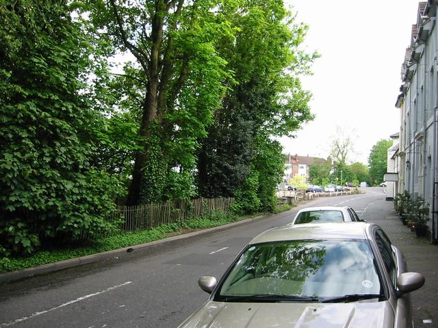Photograph img_1379.jpg