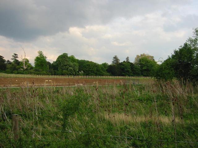 Photograph img_1409.jpg