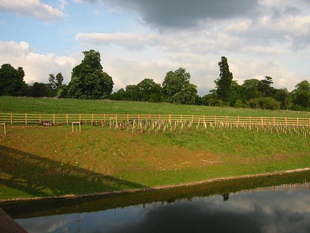 Photograph img_1424.jpg