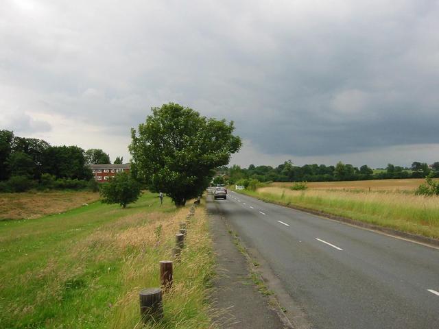 Photograph img_1835.jpg