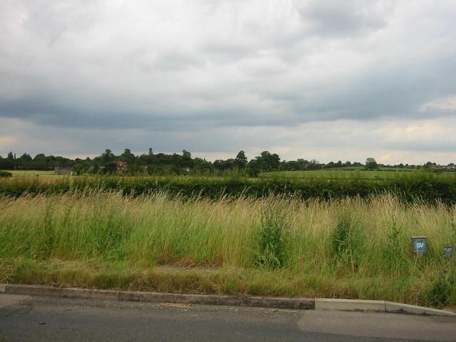 Photograph img_1837.jpg