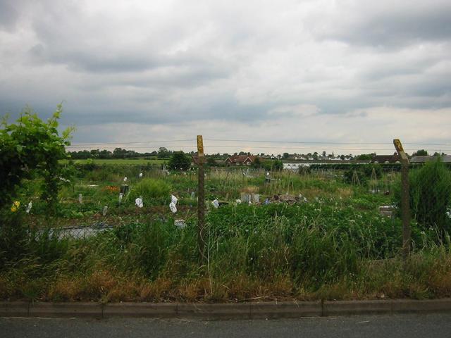Photograph img_1846.jpg