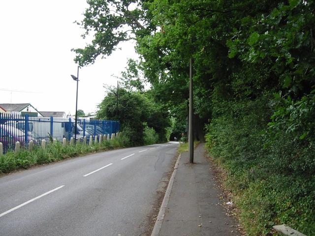 Photograph img_1866.jpg