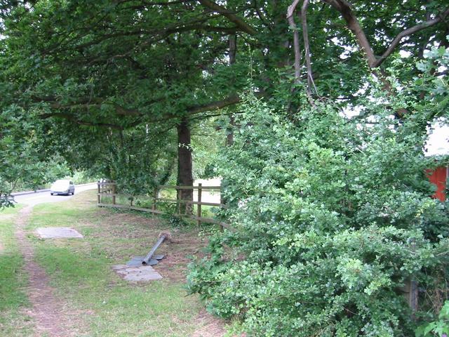Photograph img_1873.jpg