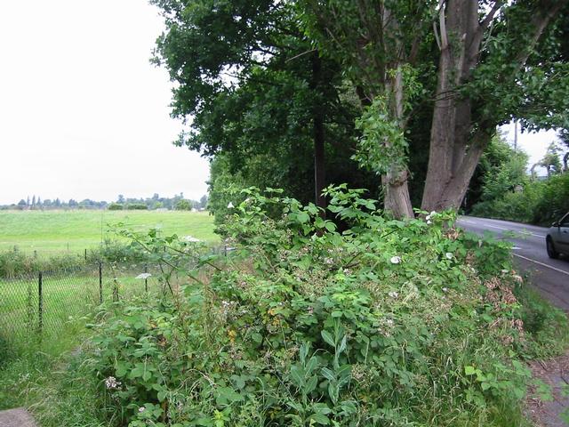 Photograph img_1875.jpg
